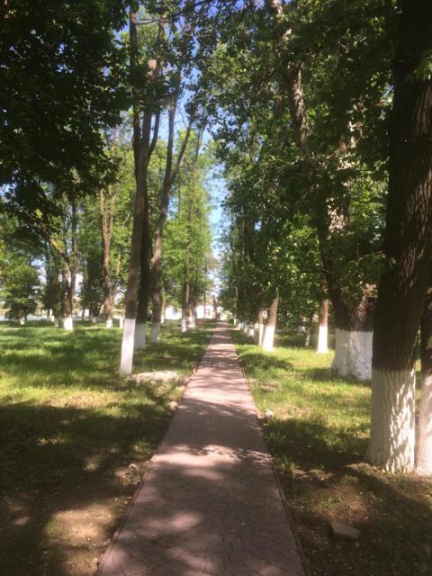 IMG 20190514 WA0003