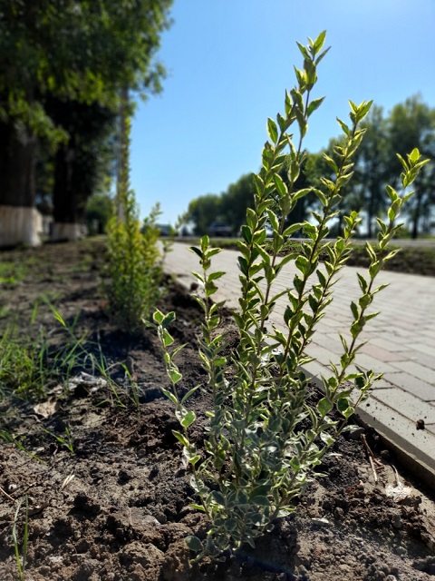 blago20200915 095412