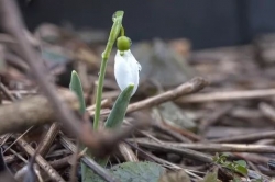 clip image20190214 001