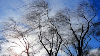 clip image20190218 001