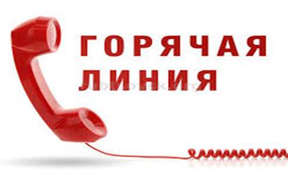 clip imagegoryachalin20190409002