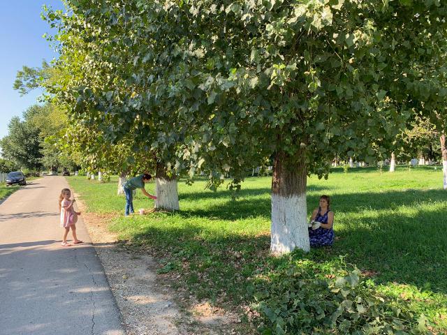 foto 09 08 2019 16 58 5