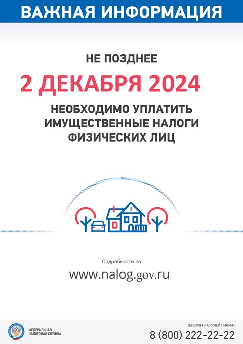 nalog 2024