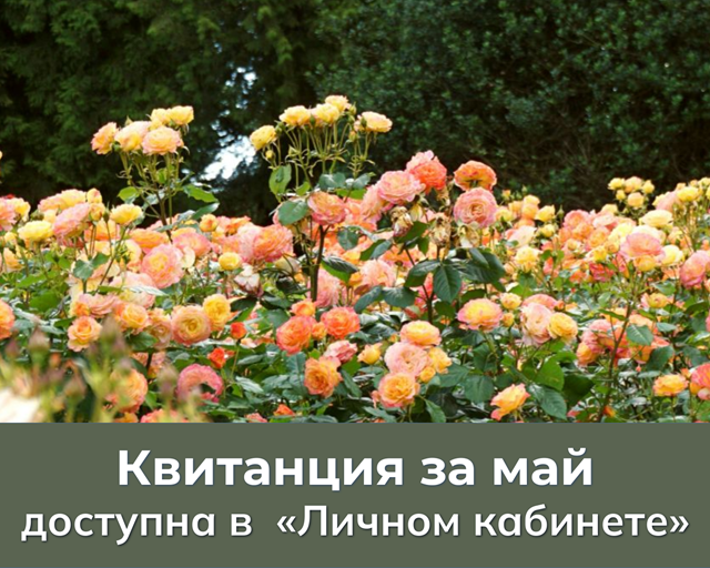 Foto 1051 04062025
