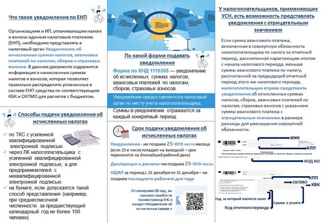 foto 2025 07 25 10 40 002